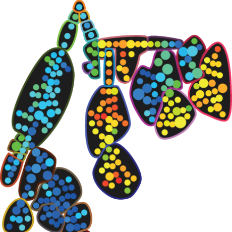 Garry P Nolan Laboratory Github - Best Geometric Illustrations in Retina