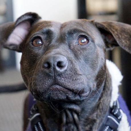 Mame Jarrah Github - Premium Colorful Illustration Gallery - Retina