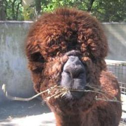 From 550 Per Month Deskplex Coworking Office Hawthorn Hawthorn Book Online Coworker