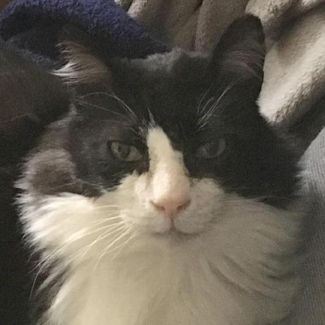 James081105 James Github - Full HD Dark Photos for Desktop