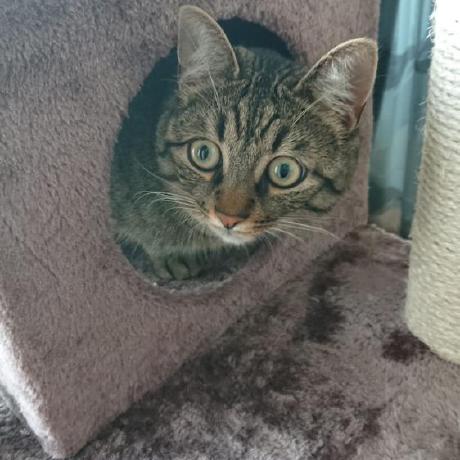 Github Robclark Kmscube Private Fork Of Https Gitlab Freedesktop Org Mesa Kmscube - Abstract Wallpaper Collection - Ultra HD Quality