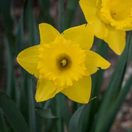 Flickr Downloadr Github - Desktop Vintage Images for Desktop