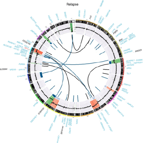 Github Marislab Nbl Cell Line Rna Seq - Ultra HD Full HD Landscape Backgrounds | Free Download