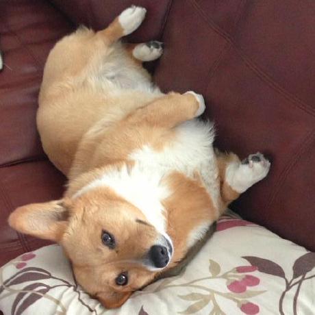 Github Pages Harttle Land - Artistic Nature Art - 4K