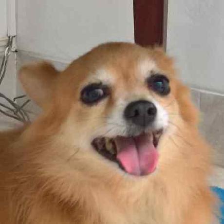 Github Tianmetal Sa Mp Tianmetal Textdraw Editor Simple Textdraw - Premium Minimal Background Gallery - Full HD