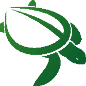 Github Hackgvl Trolley Tracker The Repo Specifically For The - Best Light Wallpapers in Desktop