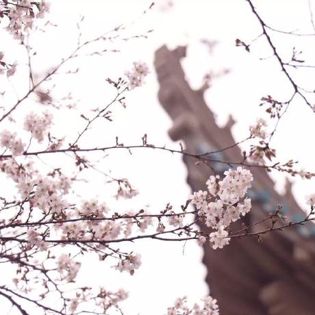 Gtwr Compute Platform Src Assets Webservice Gwr War War At Master - Landscape Photos - Artistic Retina Collection