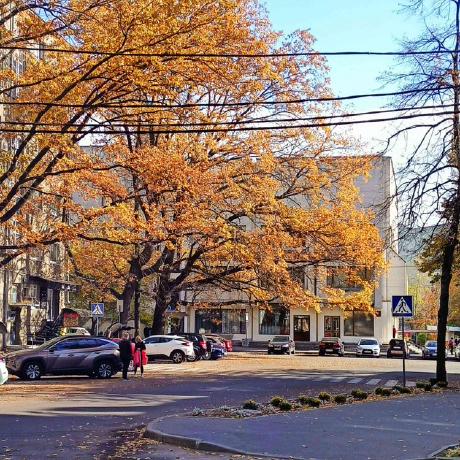 Github Electwix Discord Nuke V3 - Ocean Picture Collection - Full HD Quality