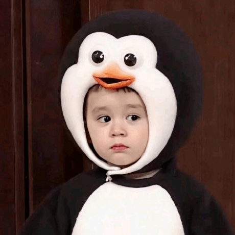 Github Tao199801 Studentmis - Download High Quality Light Pattern | HD