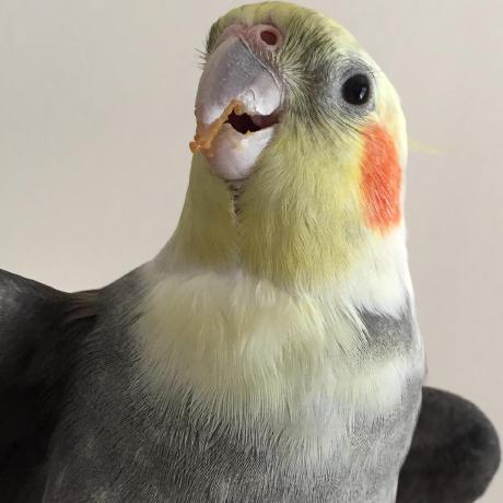 Tinacms On Linkedin Markdown Github Cms Tech Conference Launch - Download Elegant City Illustration | Full HD