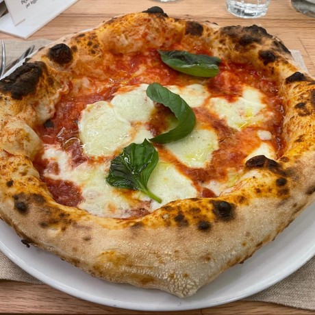 GitHub - Piotrwitek/react-redux-typescript-guide: The Complete Guide To ...