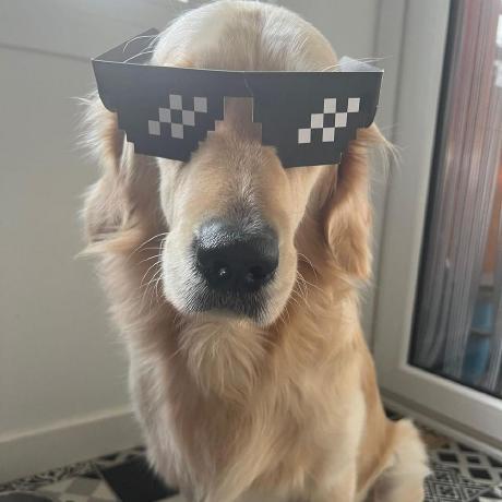 Karumi Github - Nature Pictures - Stunning 8K Collection