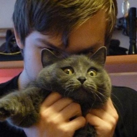 Github Reobin Typewritten A Minimal Lightweight Informative Zsh - Stunning Ocean Art - Mobile