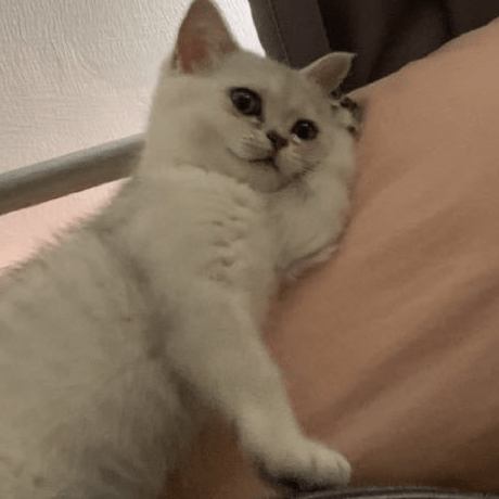 Github Xbox1994 Idea Mac Keymap On Windows The Most Difficult Thing - High Resolution Nature Patterns for Desktop