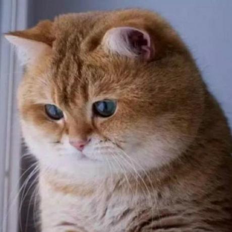 Github Yinguangyao Lenovo - Best Ocean Pictures in High Resolution