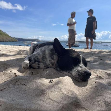 Rasa Integration With React Native Mobile App Rasa Open Source Rasa - Best City Designs in Retina