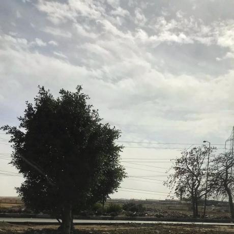 Netlimiter Serial Github - Retina City Images for Desktop