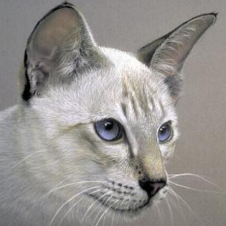 Artemsorin Artem Github - Creative HD Landscape Arts | Free Download