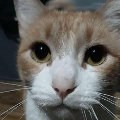 Github Chukione Mt3608 Dc Dc Module Eagle Lib - Landscape Image Collection - Retina Quality