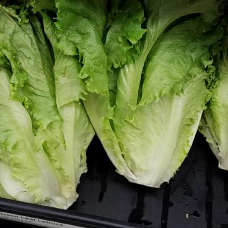 Dad Jokes By Api Ninjas - Premium Vintage Wallpaper Gallery - Retina