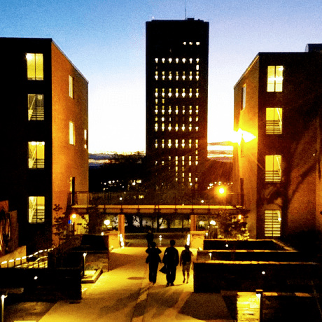 Tom Select Examples Codesandbox - Retina Space Patterns for Desktop