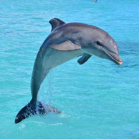 Readme Intro Gif Codesandbox - Ocean Images - Incredible 4K Collection