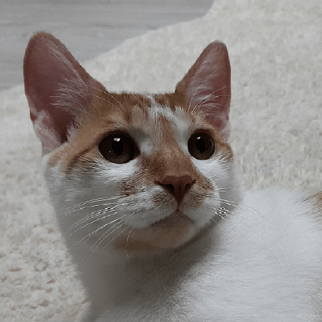 GitHub - Lesstif/php-jira-rest-client: PHP Classes Interact Jira With ...