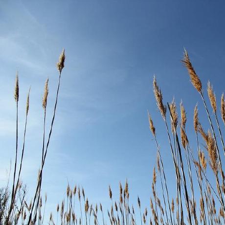 Github Yu Lab Vt Aqua An Event Based Tool For Analyzing And - Beautiful Ocean Pattern - Desktop