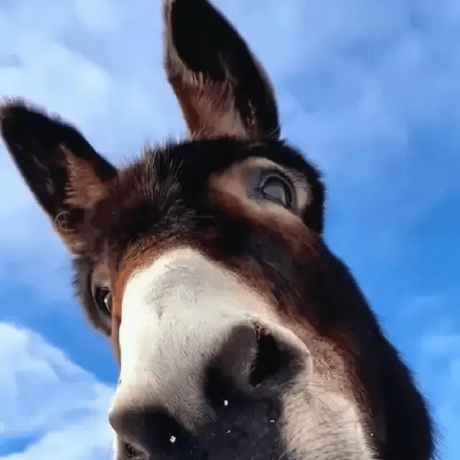 Github Wilsonhuha Cbr Doc - Download Beautiful Dark Image | 8K