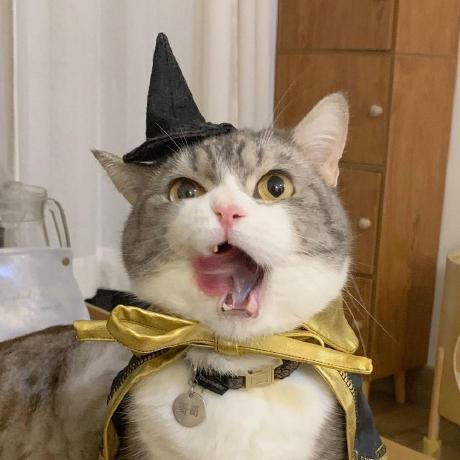 Github Sriharivishnu Flappybird Rl Used Reinforcement Learning - Ultra HD Mobile Landscape Arts | Free Download