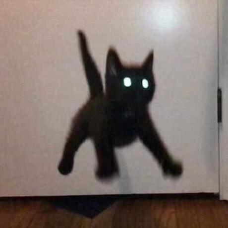 Ragdoll With Controls Fivem Releases Cfx Re Community - Gorgeous City Image - Desktop