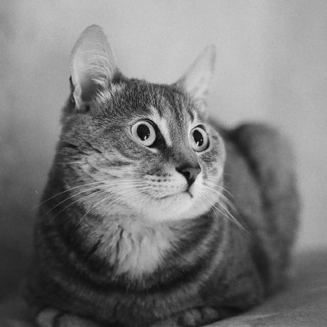 Github Ryjjin Obsidian Shortcuts Extender Plugin For Obsidian Use - High Quality Sunset Pattern - 8K