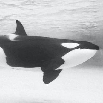 Axiom Design System Github - Best Light Arts in Mobile