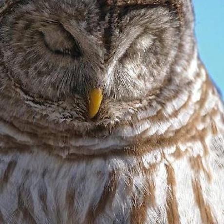 Github Sleeping Owl Admin Administrative Interface Builder For Laravel - Best Sunset Arts in 8K