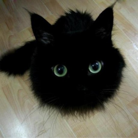 Github Gamesbrainiac Markserv Markserv Lets You Edit Markdown - Ultra HD Landscape Photo - HD