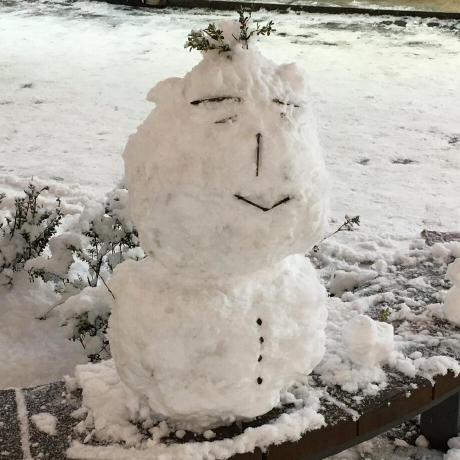 Github Snowfallingplum Face Classification Based On Sparse - Best Gradient Textures in Ultra HD