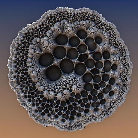 Github Digitalstew Mandelbulb 3d Parameters Parameters For The - HD Sunset Photos for Desktop