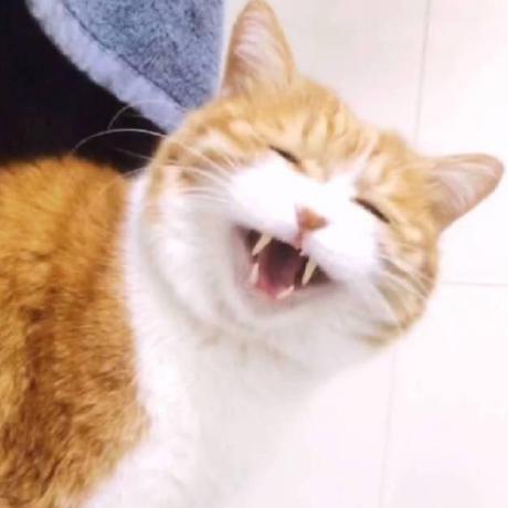 Github Songxinjianqwe Chat Java Nio - Elegant 8K Geometric Wallpapers | Free Download