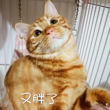 Github Sangka Mobx Docs Cn Mobx - Premium Light Design Gallery - Retina