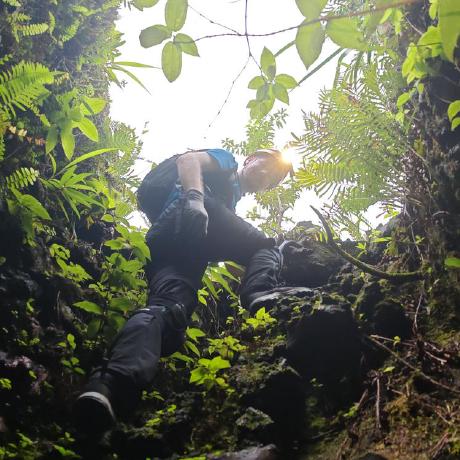 Mappa Mundi Examples Codesandbox - Premium Space Illustration Gallery - 8K