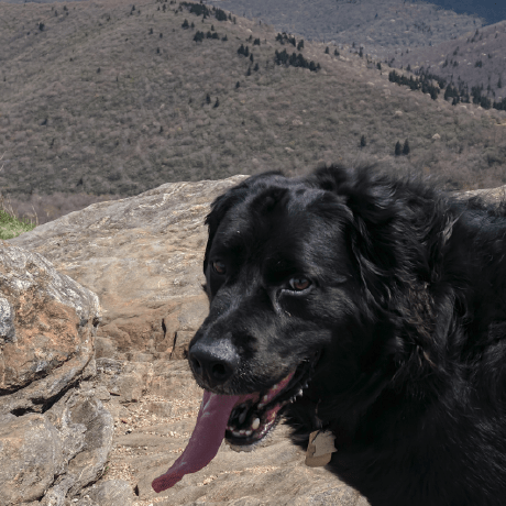 Github Plasmapotential Heattools Extra Tools For Heat Plotting - Modern Full HD Ocean Textures | Free Download