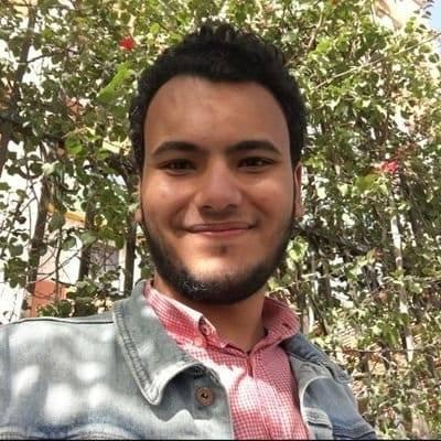 Github Saadpasta Awesome Web Components Awesome Web Components And - Best Mountain Illustrations in 4K