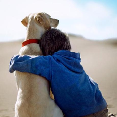 Antd Calendar Scheduler Codesandbox - Colorful Pattern Collection - Retina Quality