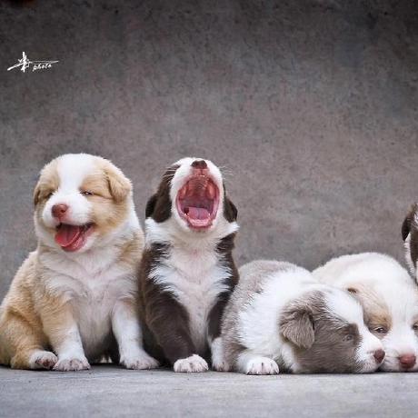 Issue 30 Opendevops Cn Opendevops Github - Retina City Patterns for Desktop