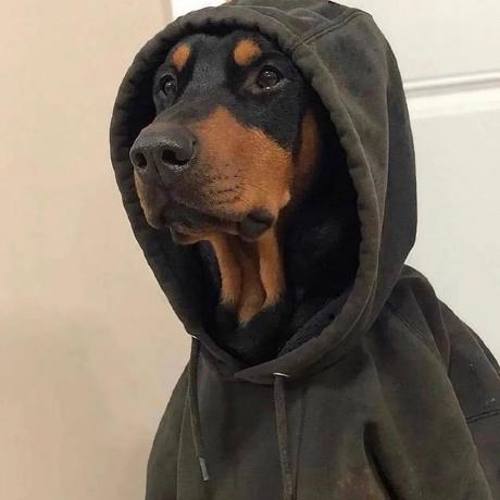 Releases Quanwei1992 Kindlehelper Github - Artistic 8K Abstract Wallpapers | Free Download