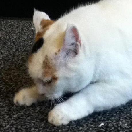 100knocks Preprocess Docker Doc Preprocess Knock Python Html At Master - Modern Abstract Picture - 4K