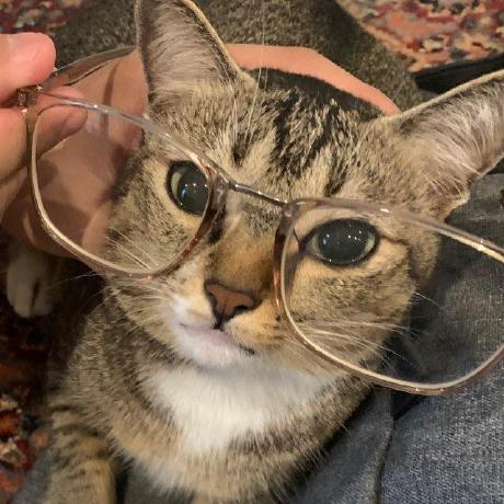 React Onedrive Filepicker Examples Codesandbox - Download Premium Dark Wallpaper | 4K