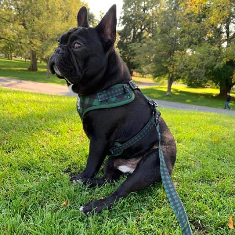 Time Calculator Project Python The Freecodecamp Forum - Premium City Illustration Gallery - 8K