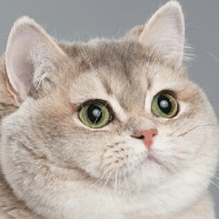 Swimlane Ngx Datatable Examples Codesandbox - HD Abstract Designs for Desktop