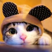 Github Bearzpy Stm32 Ucosiii Stm32f103 Ucosiii Example - 4K Colorful Arts for Desktop